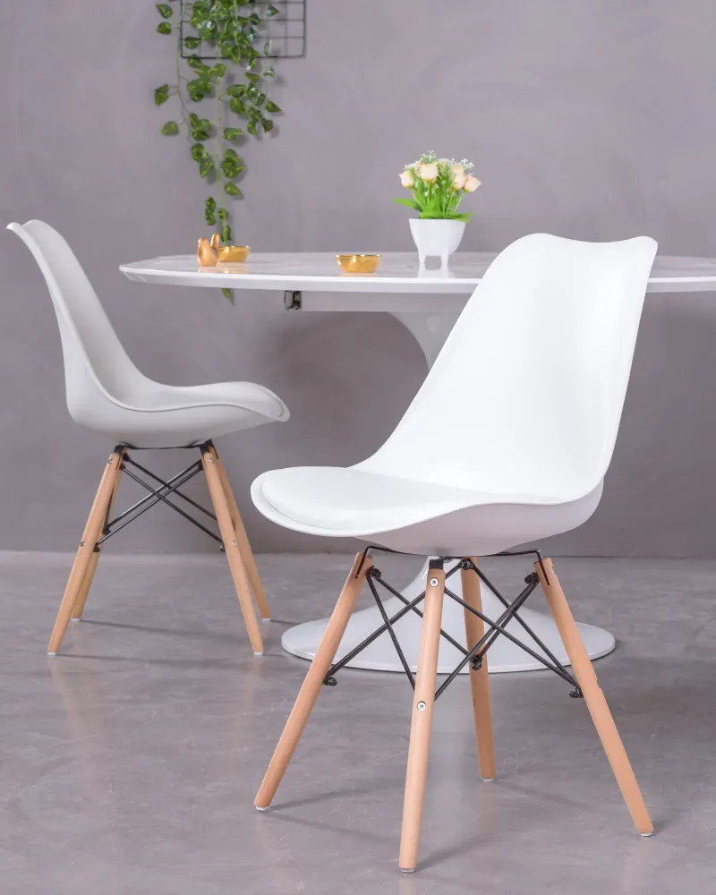 Shark Nordic Dining Chair : 5-year warranty : Nest Dream