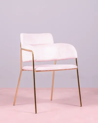 Cruiser chair upholstered in velvet with golden legs | Nest Dream