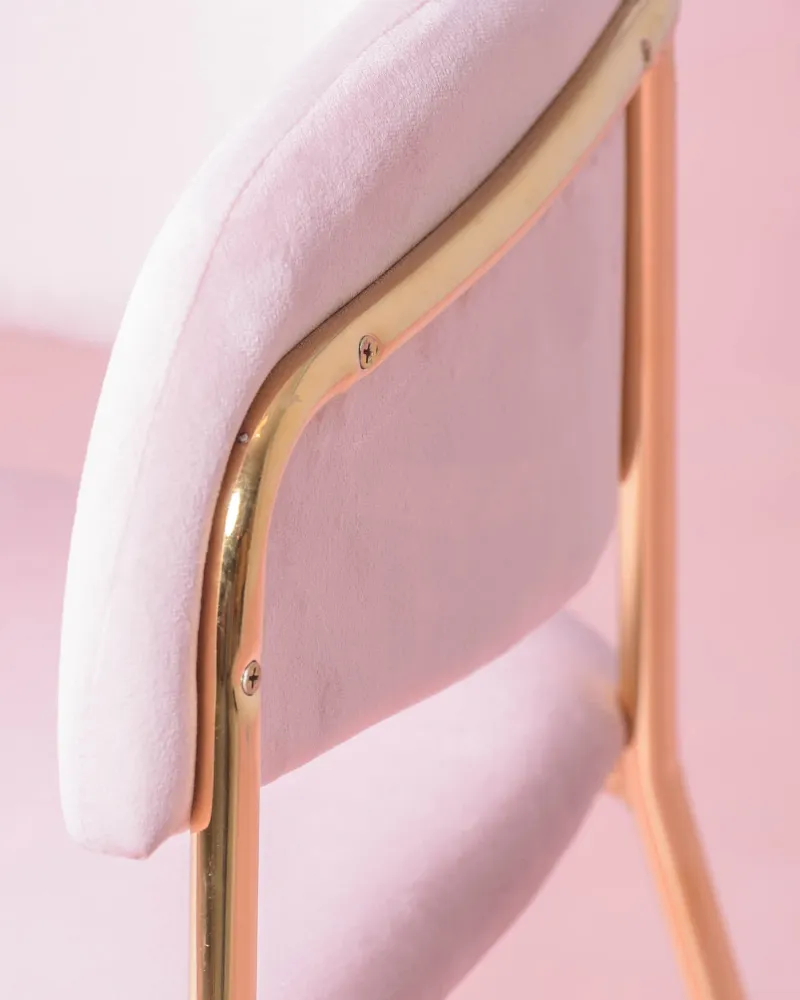 Cruiser chair upholstered in velvet with golden legs | Nest Dream