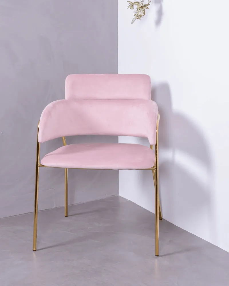 Cruiser chair upholstered in velvet with golden legs | Nest Dream