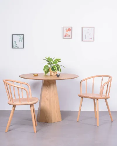 Sedia da pranzo con braccioli intagliata a mano | Sedie di design Nest Dream