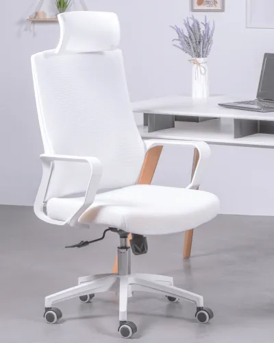 Mesh ergonomic office chair with headrest | 5 years warranty