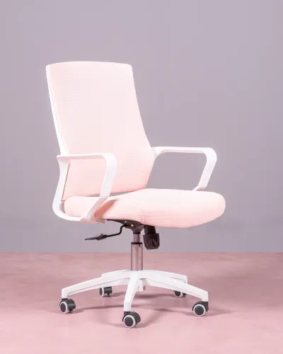 Mesh Ergonomic Office Chair | 5 year warranty with Nest Dream