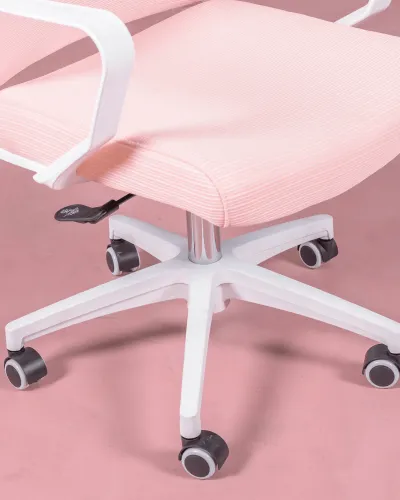 Mesh Ergonomic Office Chair | 5 year warranty with Nest Dream