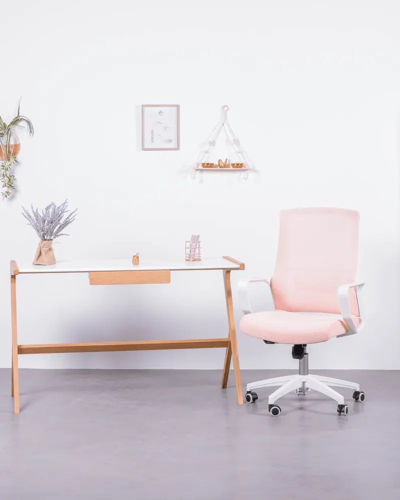 Chaise de bureau ergonomique Mesh | Garantie de 5 ans avec Nest Dream