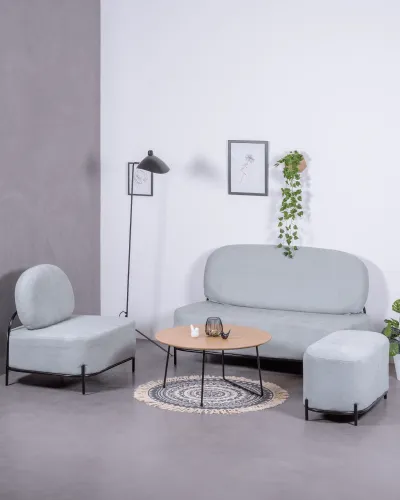 Clair Loveseat in Various Colors | Free Shipping | Nest Dream